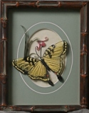Quilling by Pat Caputo, Butterfly 2004