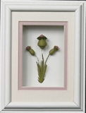 Quilling by Barbara Machado, Flowers 2004